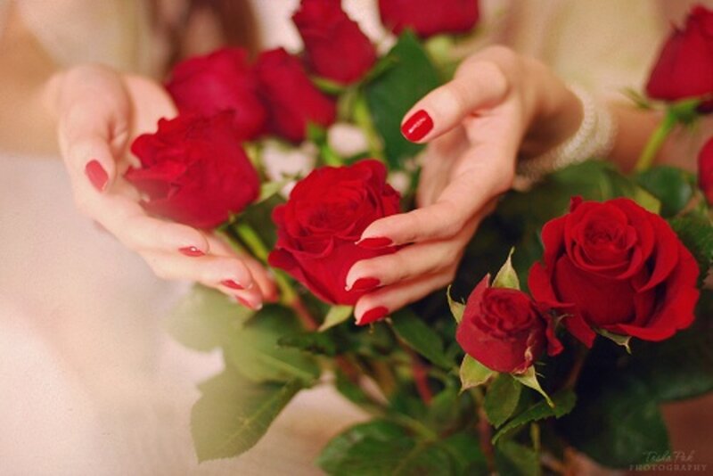Hands Holding Red Roses