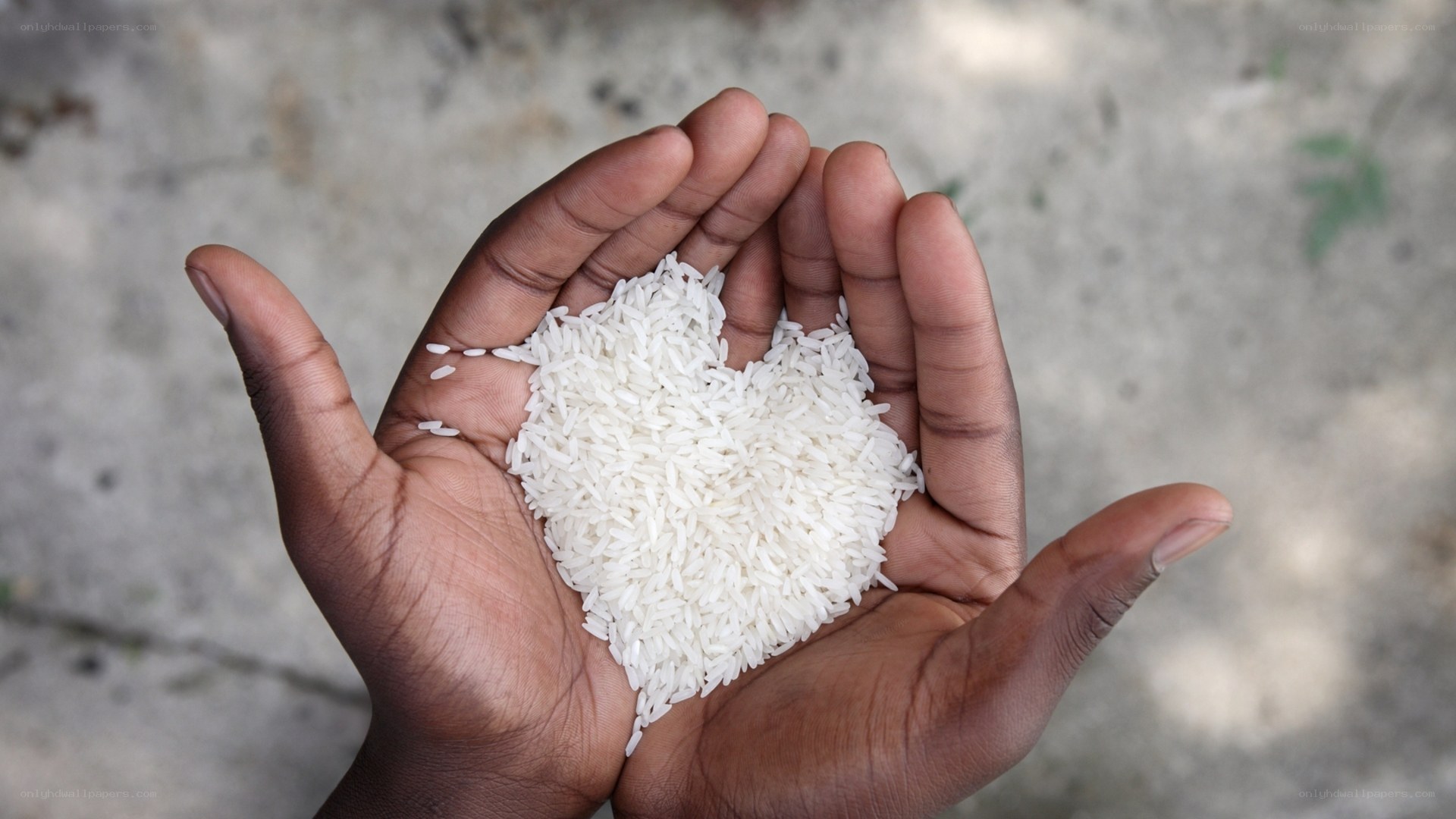 hands holding rice in heart shape