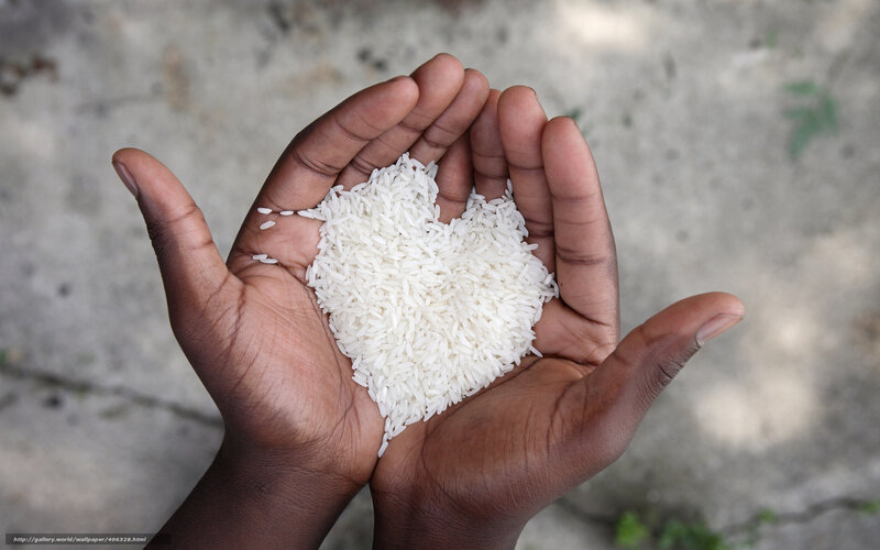 Hands Holding Rice — White, Calm