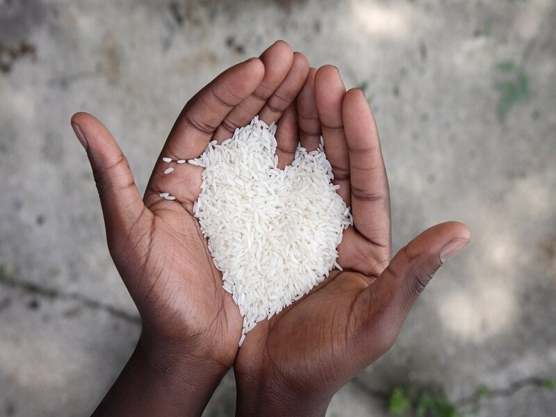 Hands Holding Rice — White