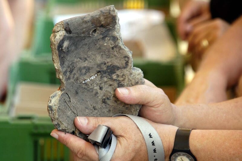 Hands Holding Rock Specimen