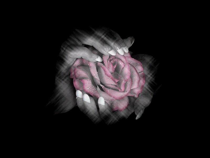 Hands Holding Rose — Black, Dramatic, Digital Art