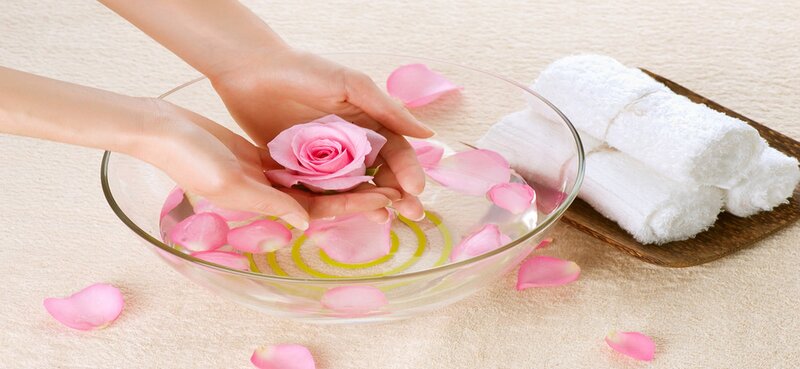 Hands Holding Rose in Water