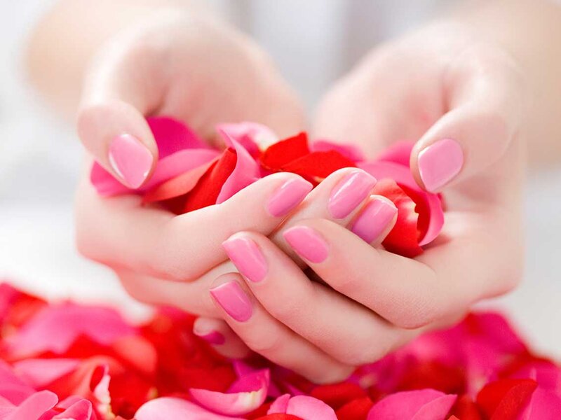 Hands Holding Rose Petals — Pink, Serene, Photograph