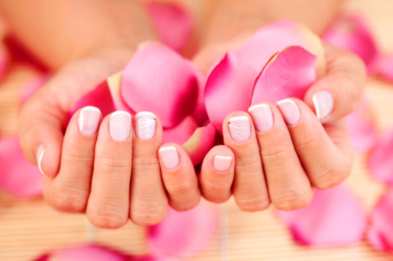 Hands Holding Rose Petals — Pink, Serene