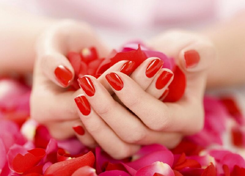 Hands Holding Rose Petals — Red, Calm, Photograph, Rose Petals