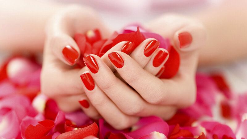 Hands Holding Rose Petals — Red, Calm