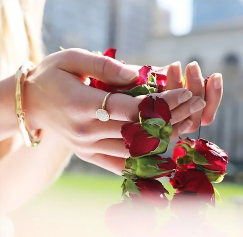Hands Holding Rose Petals — Red, Serene, Afternoon