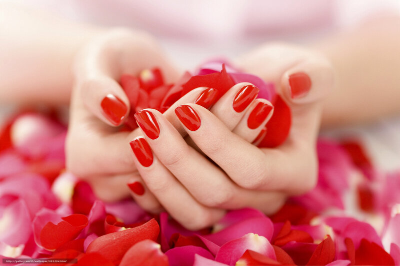 Hands Holding Rose Petals — Red, Serene, Photograph