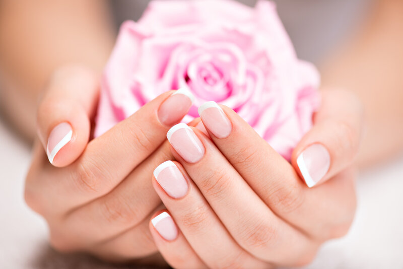 Hands Holding Rose — Pink, Calm