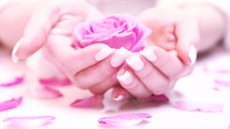 Hands Holding Rose — Pink, Serene, Photograph, Petals