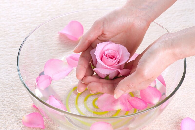 Hands Holding Rose — Pink, Serene, Photograph