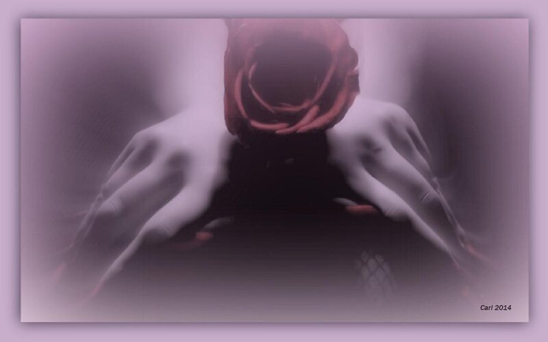 Hands Holding Rose — Purple