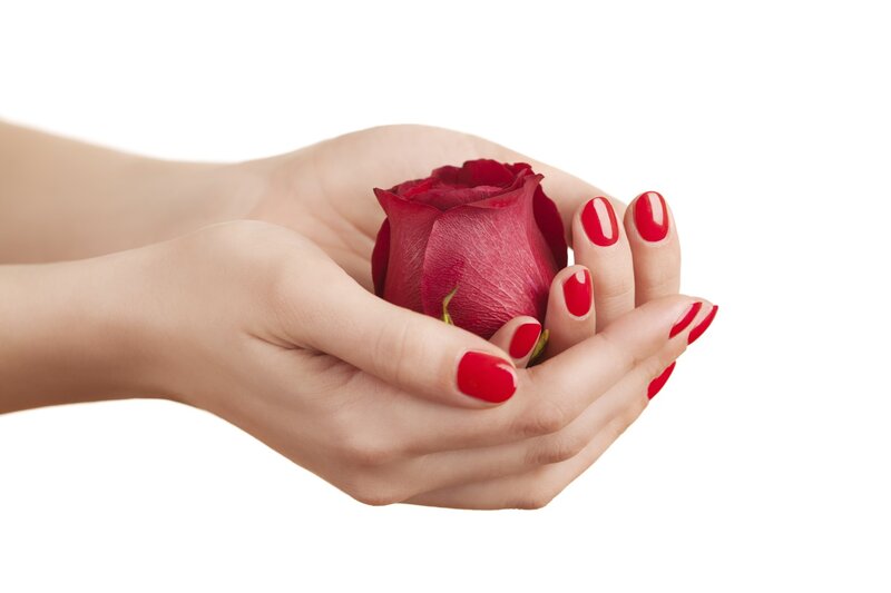 Hands Holding Rose — Red, Calm, Photograph