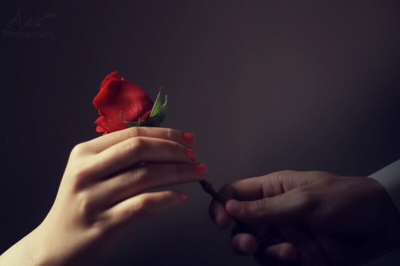 Hands Holding Rose — Red, Dramatic, Photograph