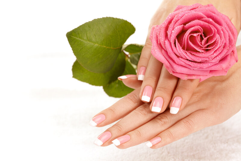Hands Holding Rose