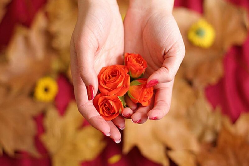 Hands Holding Roses — Orange