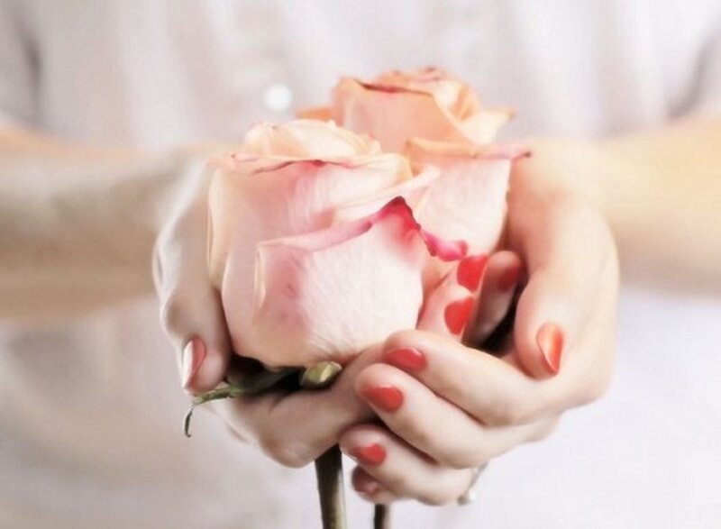 Hands Holding Roses — Pink