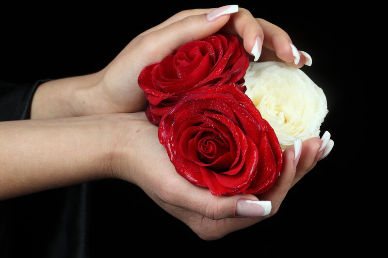 Hands Holding Roses — Red, Dramatic, Photograph, Nails