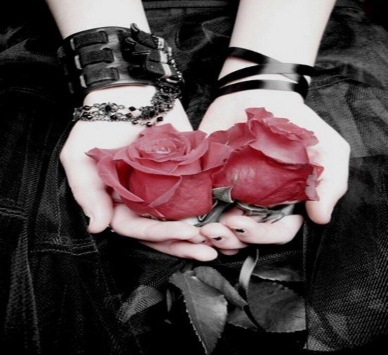 Hands Holding Roses — Red, Dramatic