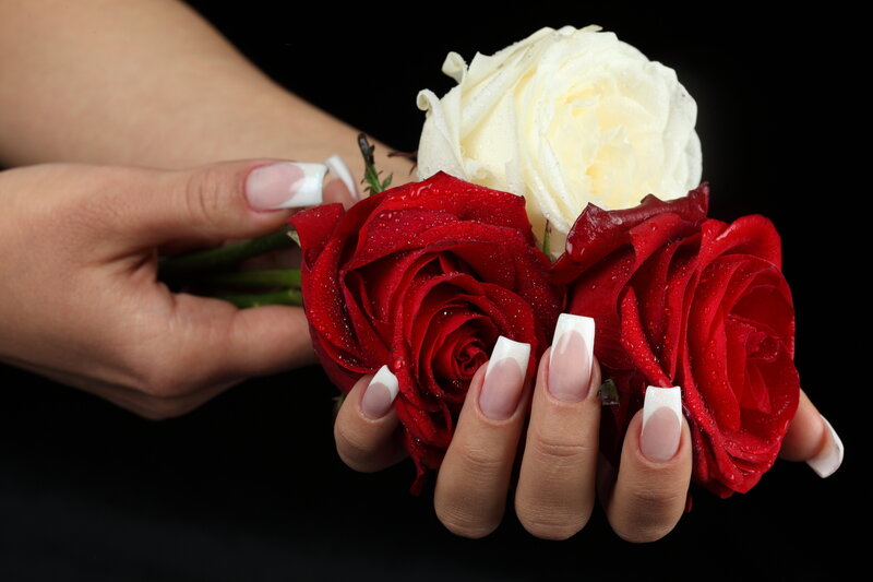 Hands Holding Roses — Red