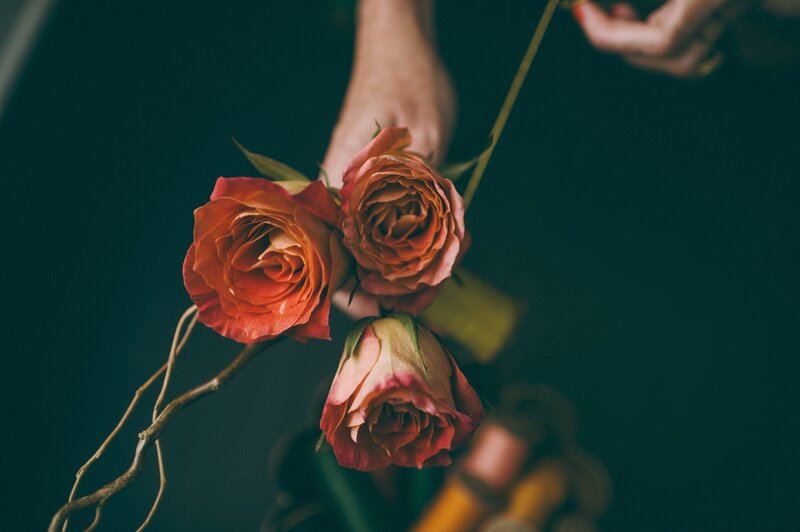 hands holding roses