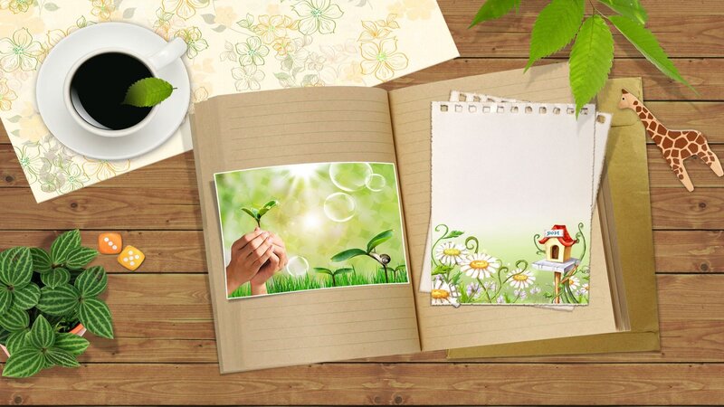 Hands Holding Seedling — Brown