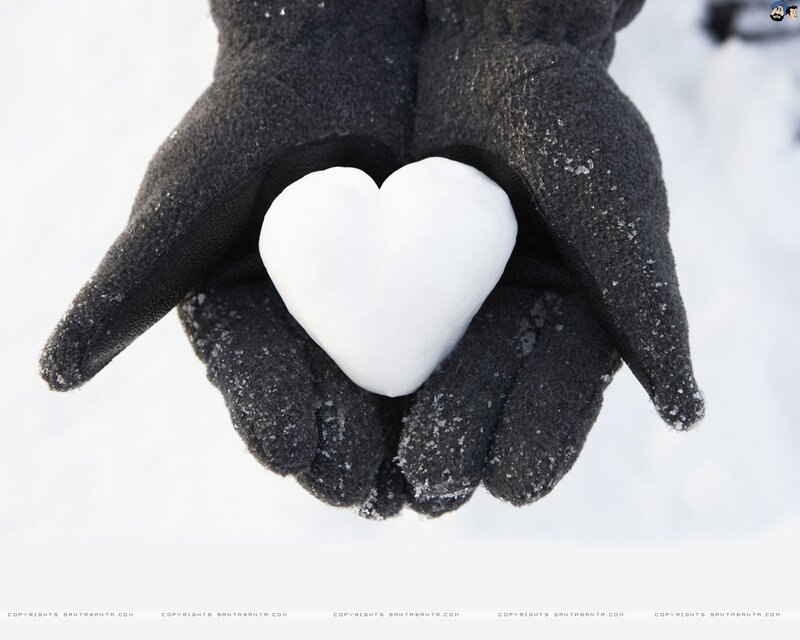 Hands Holding Snow Heart — White, Calm, Winter, Photograph, Gloves, Black