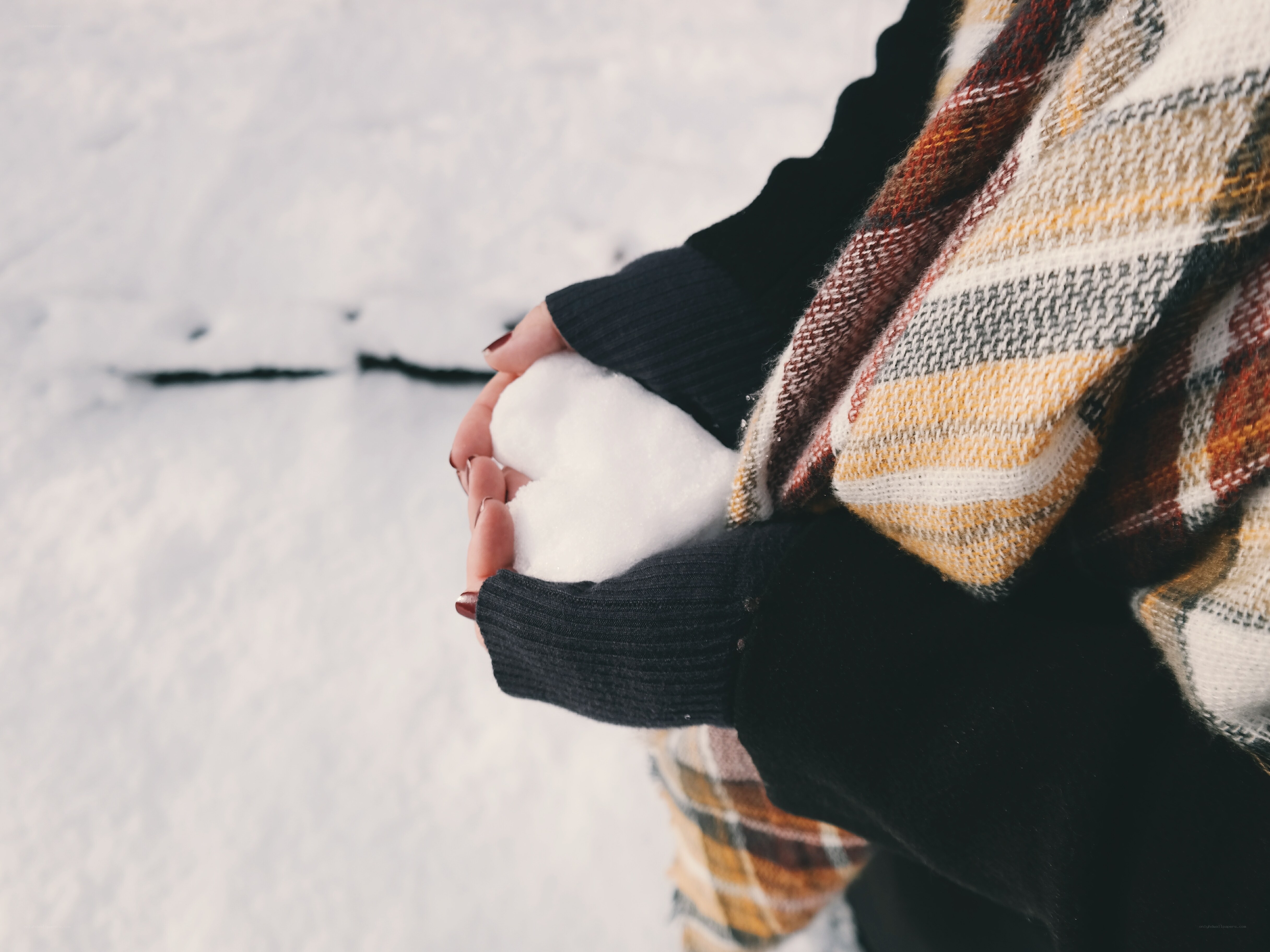 hands holding snowball