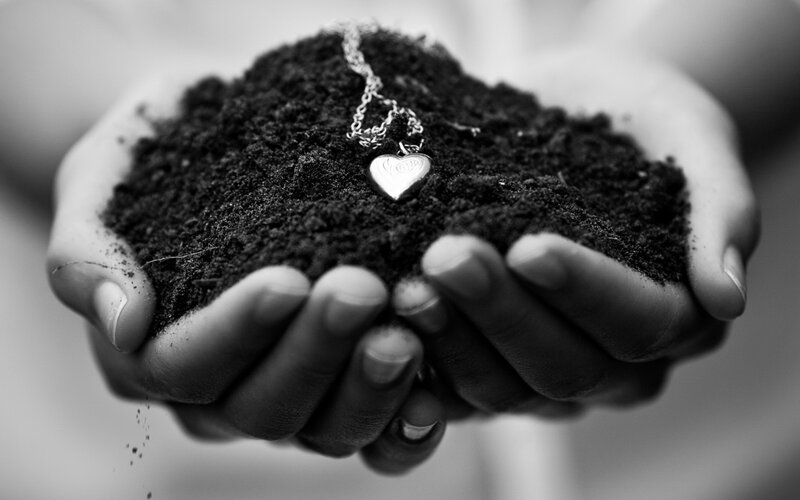 Hands Holding Soil and Heart