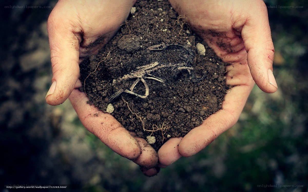 hands holding soil and roots