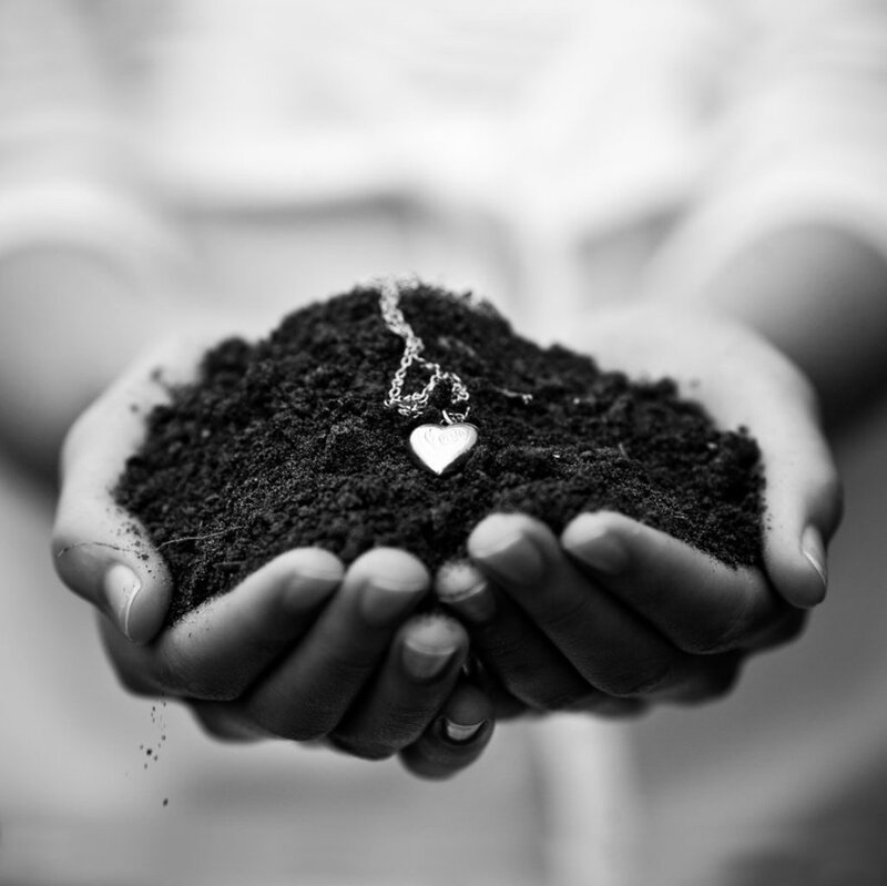 Hands Holding Soil — Black, Serene