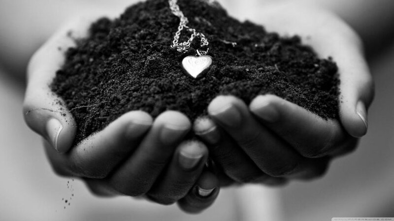 Hands Holding Soil — Black, Somber