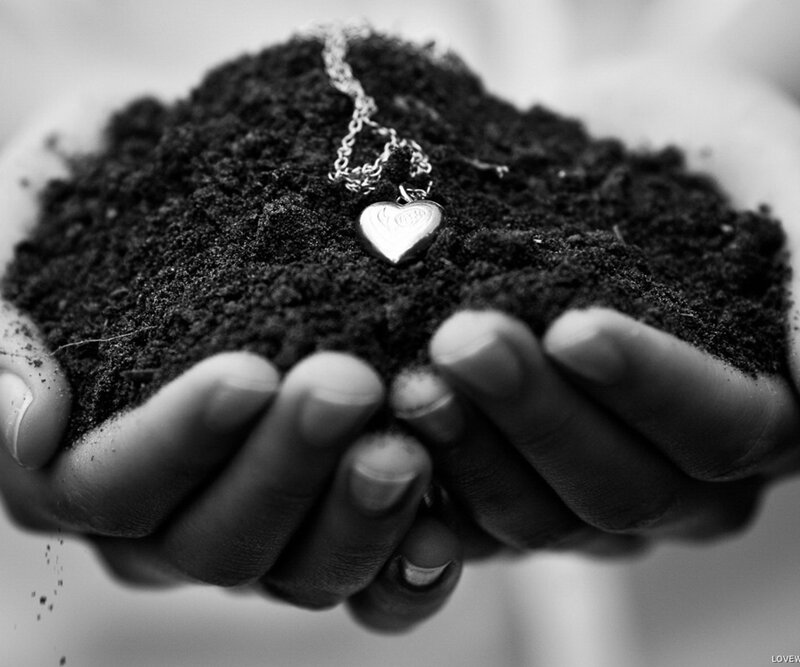 Hands Holding Soil — Black