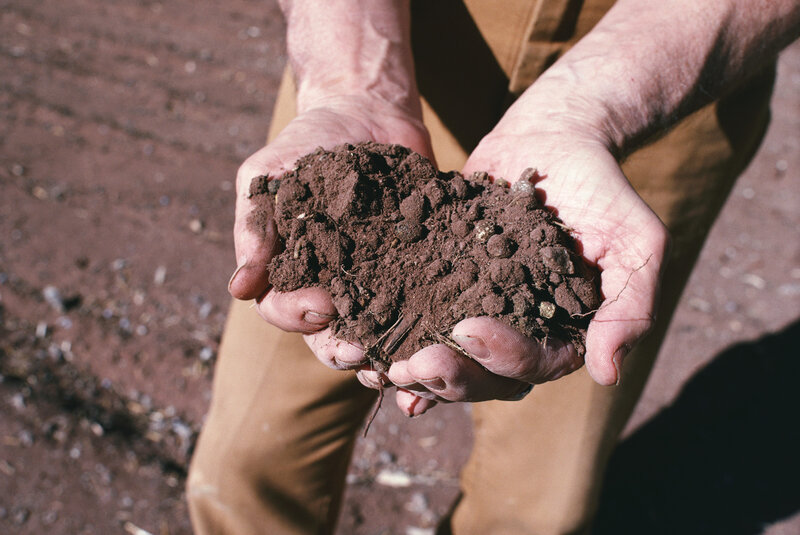 Hands Holding Soil