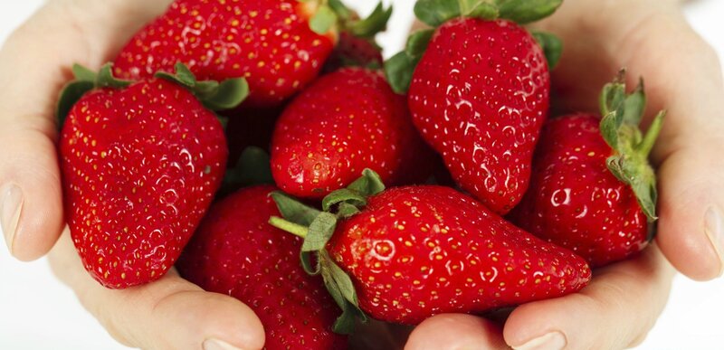 Hands Holding Strawberries — Red, Fresh