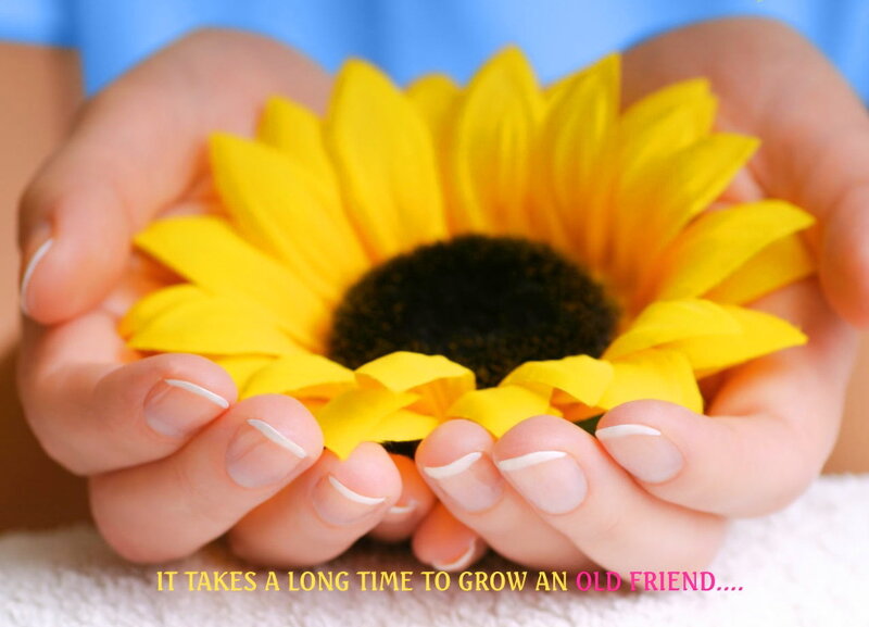 Hands Holding Sunflower — Yellow, Calm