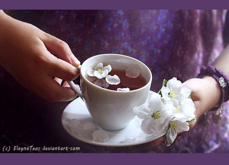 Hands Holding Tea Cup