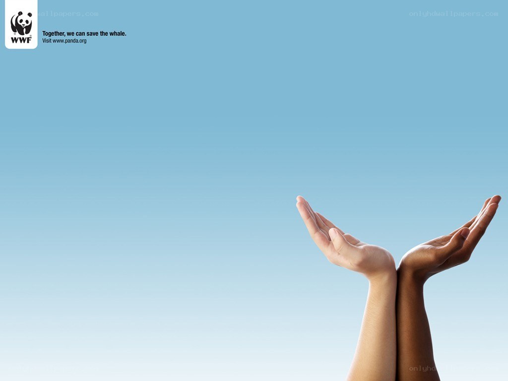 Hands holding the sky