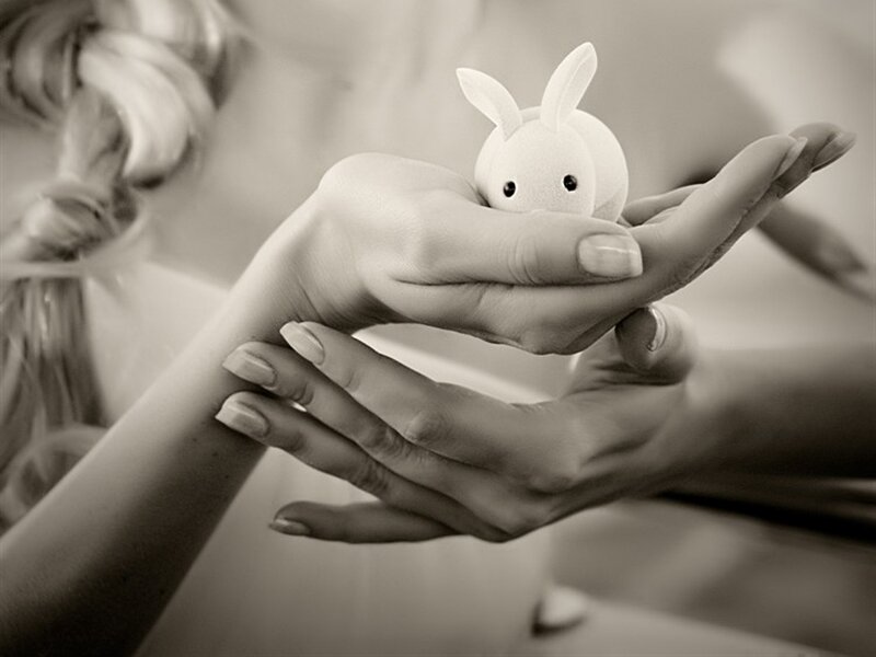 Hands Holding Toy Rabbit