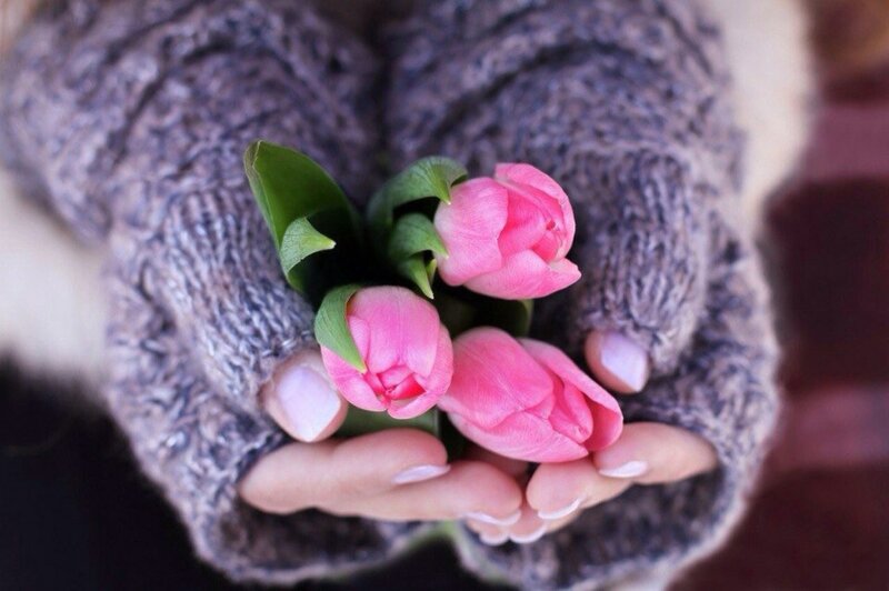 Hands Holding Tulips — Pink