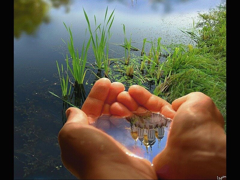 Hands Holding Water — Green, Serene, Afternoon, Photograph, River