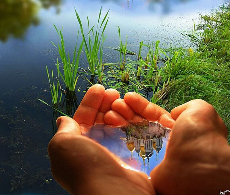 Hands Holding Water — Green, Serene, Afternoon