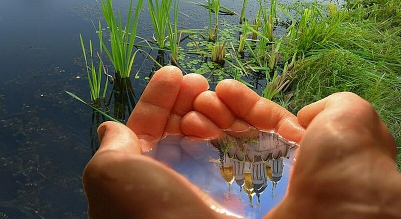 Hands Holding Water — Green, Serene