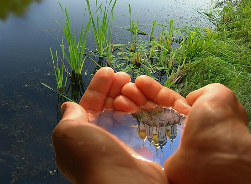 Hands Holding Water — Green