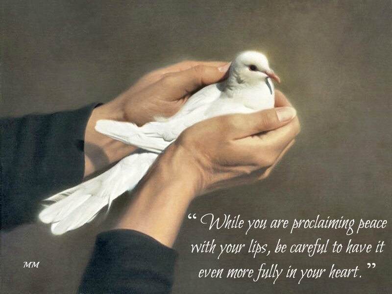 Hands Holding White Dove — Serene
