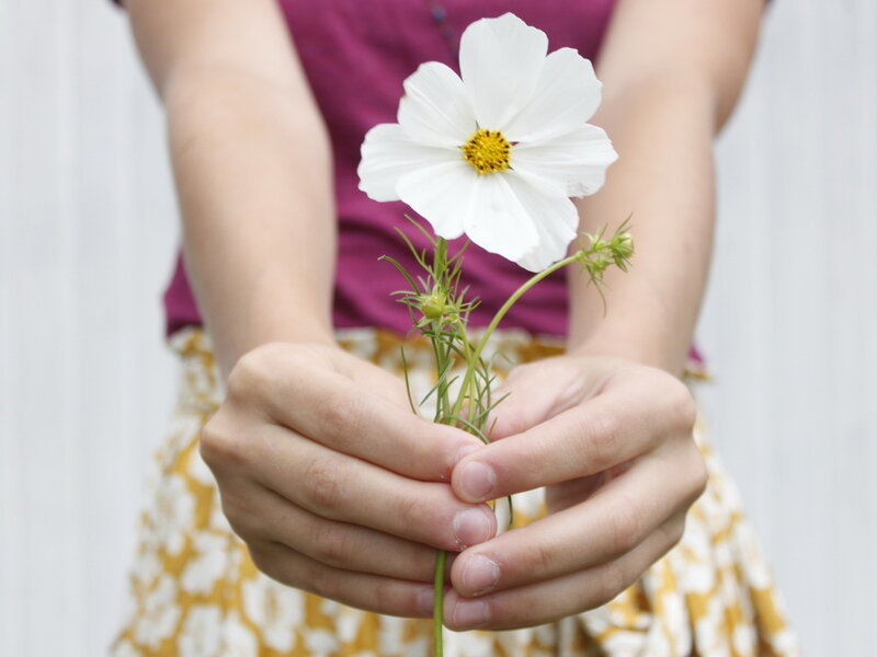Hands Holding White Flower — Calm