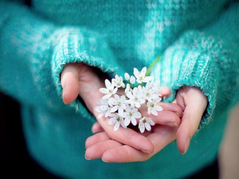 Hands Holding White Flowers — Teal