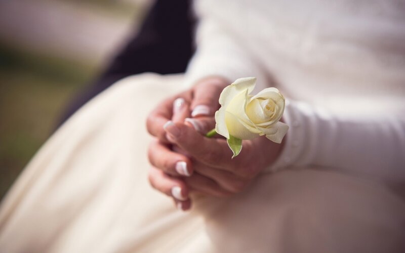 Hands Holding White Rose — Serene, Photograph