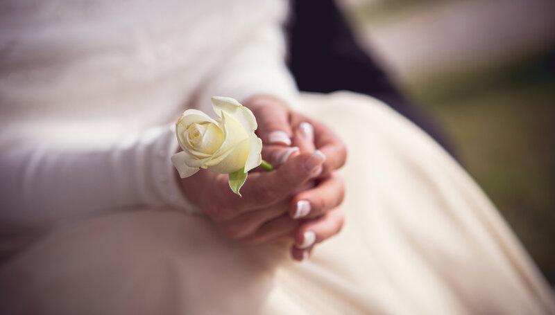Hands Holding White Rose — Serene